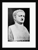 Bust of Roman Ruler Titus by Anonymous