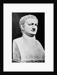 Bust of Roman Ruler Titus by Anonymous