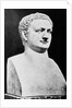 Bust of Roman Ruler Titus by Anonymous