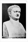 Bust of Roman Ruler Titus by Anonymous