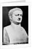 Bust of Roman Ruler Titus by Anonymous