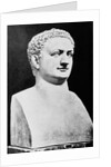 Bust of Roman Ruler Titus by Anonymous