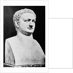 Bust of Roman Ruler Titus by Anonymous