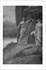 Engraving of Druids Offering Human Sacrifice by A. de Neuville