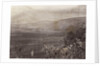 Palestinian Man Looks Out Over Plains by Anonymous