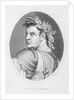 Oval Illustrated Portrait of Titus Caesar by Anonymous