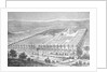 Babylon Landscape by Anonymous