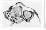 Prehistoric Drawing of a Bison by Anonymous