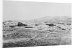 Town of Tombstone by Anonymous