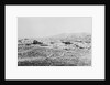 Town of Tombstone by Anonymous