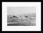 Town of Tombstone by Anonymous