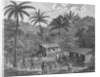 Drawing Depicting Dwellers on a Marquesas Island by Anonymous