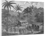 Drawing Depicting Dwellers on a Marquesas Island by Anonymous