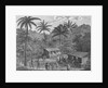 Drawing Depicting Dwellers on a Marquesas Island by Anonymous