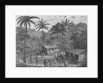 Drawing Depicting Dwellers on a Marquesas Island by Anonymous