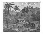 Drawing Depicting Dwellers on a Marquesas Island by Anonymous