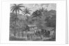 Drawing Depicting Dwellers on a Marquesas Island by Anonymous