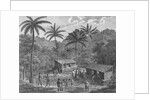 Drawing Depicting Dwellers on a Marquesas Island by Anonymous