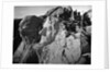 Washington,Jefferson'S Heads/Mt Rushmore by Anonymous