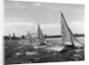 Small Boats Sailing on Sydney Harbor by Anonymous