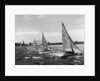 Small Boats Sailing on Sydney Harbor by Anonymous