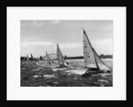 Small Boats Sailing on Sydney Harbor by Anonymous