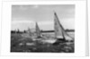 Small Boats Sailing on Sydney Harbor by Anonymous
