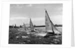 Small Boats Sailing on Sydney Harbor by Anonymous
