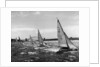 Small Boats Sailing on Sydney Harbor by Anonymous
