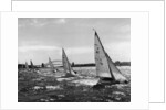 Small Boats Sailing on Sydney Harbor by Anonymous
