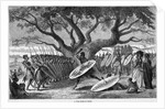War Dance of the Zulu Tribe by Anonymous
