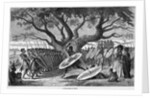 War Dance of the Zulu Tribe by Anonymous