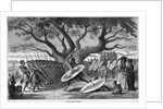 War Dance of the Zulu Tribe by Anonymous