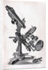 Early Microscope by Anonymous