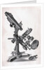 Early Microscope by Anonymous
