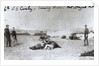 American Cavalry Men with Horses as Shields During Weapon Firing by Anonymous