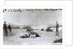 American Cavalry Men with Horses as Shields During Weapon Firing by Anonymous