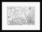 Map of Florida by Anonymous