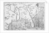 Map of Florida by Anonymous