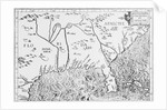 Map of Florida by Anonymous