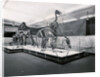 View of Tyrannosaur Skeletons in Museum by Anonymous