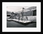 View of Tyrannosaur Skeletons in Museum by Anonymous