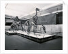 View of Tyrannosaur Skeletons in Museum by Anonymous