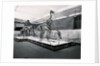 View of Tyrannosaur Skeletons in Museum by Anonymous