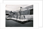 View of Tyrannosaur Skeletons in Museum by Anonymous