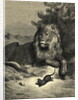 Illustration from Fontaine's The Lion and the Rat by Anonymous