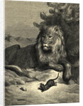 Illustration from Fontaine's The Lion and the Rat by Anonymous