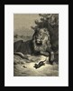Illustration from Fontaine's The Lion and the Rat by Anonymous