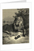 Illustration from Fontaine's The Lion and the Rat by Anonymous