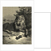 Illustration from Fontaine's The Lion and the Rat by Anonymous